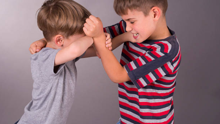 enfants disputes frères soeurs