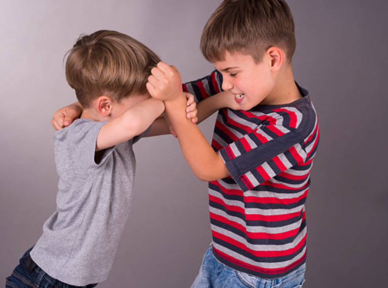 enfants disputes frères soeurs