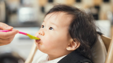 bébé cuillère manger purée