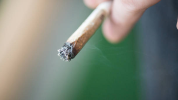 cigarette tabac cannabis joint