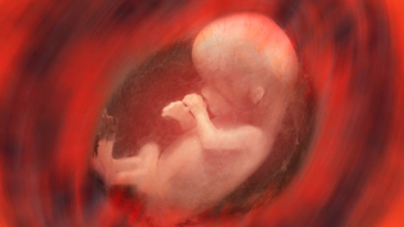 foetus grossesse enceinte poche des eaux liquide amniotique développement sens
