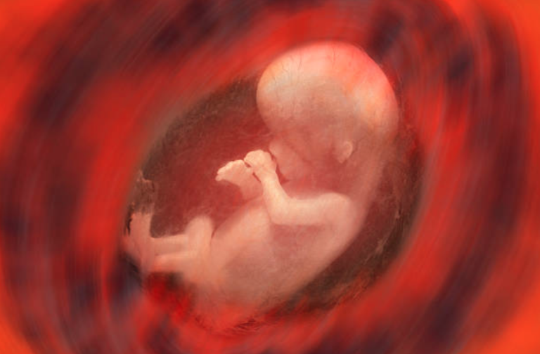 foetus grossesse enceinte poche des eaux liquide amniotique développement sens