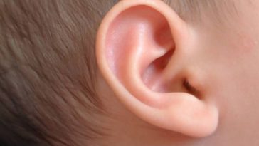 oreille bébé audition surdité sourd