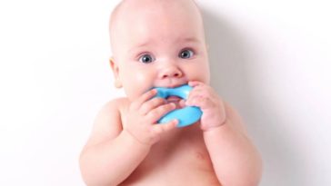 bébé dent douleur poussées dentaires
