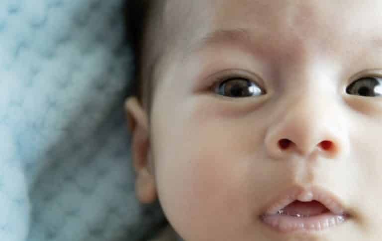 bébé ouïe oreille yeux nourrisson