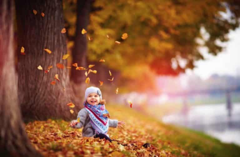 enfant bébé fille automne feuilles extérieur promenade