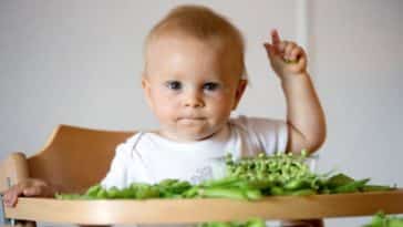 bébé alimentation repas diversification alimentaire