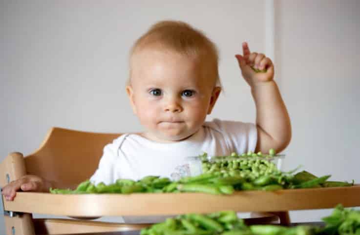 bébé alimentation repas diversification alimentaire