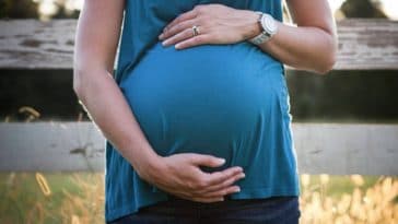 grossesse congé maternité enceinte ferme agricultrices femme nature