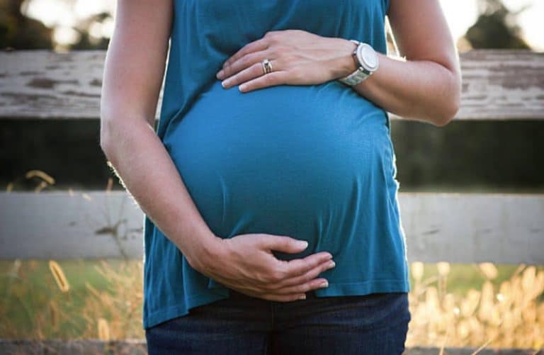 grossesse congé maternité enceinte ferme agricultrices femme nature