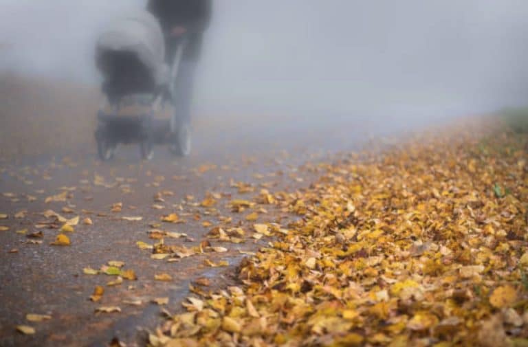 poussette bébé pollution promenade particules fines