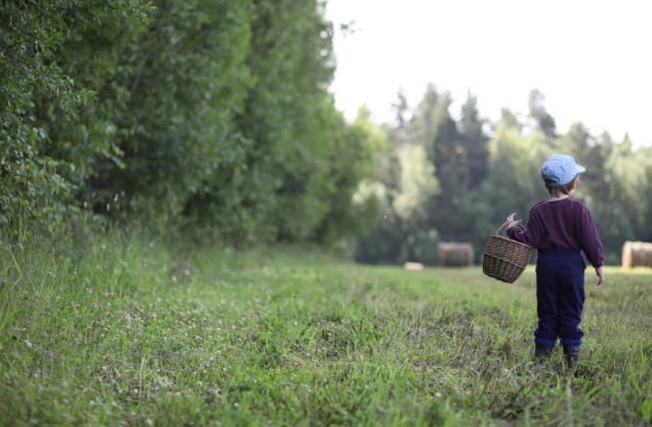 enfant promenade champs prairie nature tiques insecte piqûre
