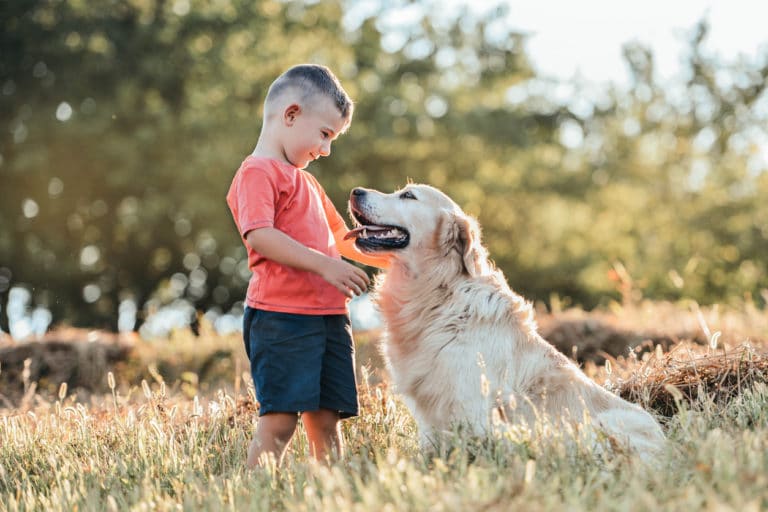 chien enfant animal de compagnie garçon extérieur jardin été jeux loisirs