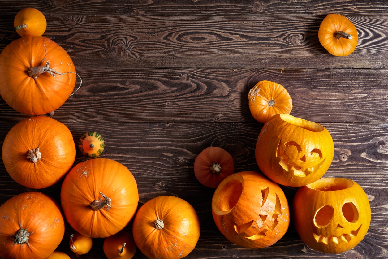 citrouille halloween décoration automne