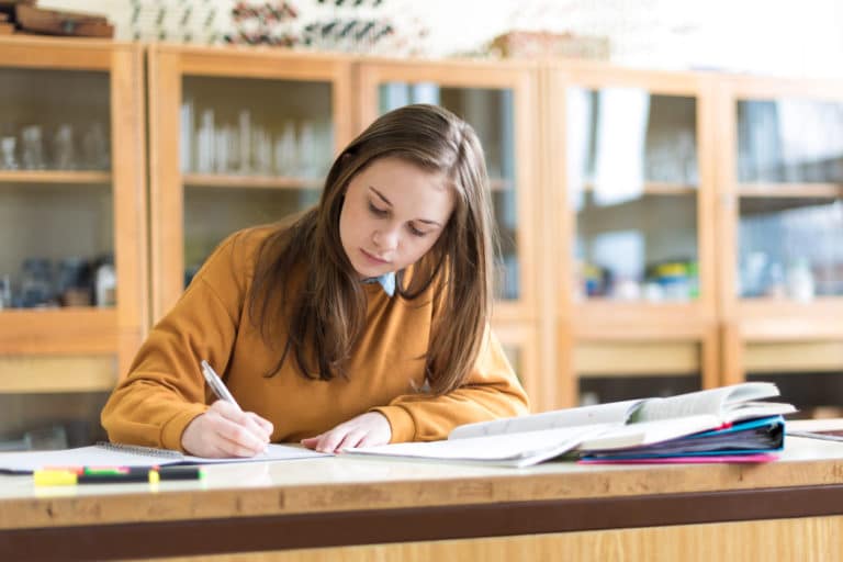 travail élève collège lycée devoirs manuels scolaires