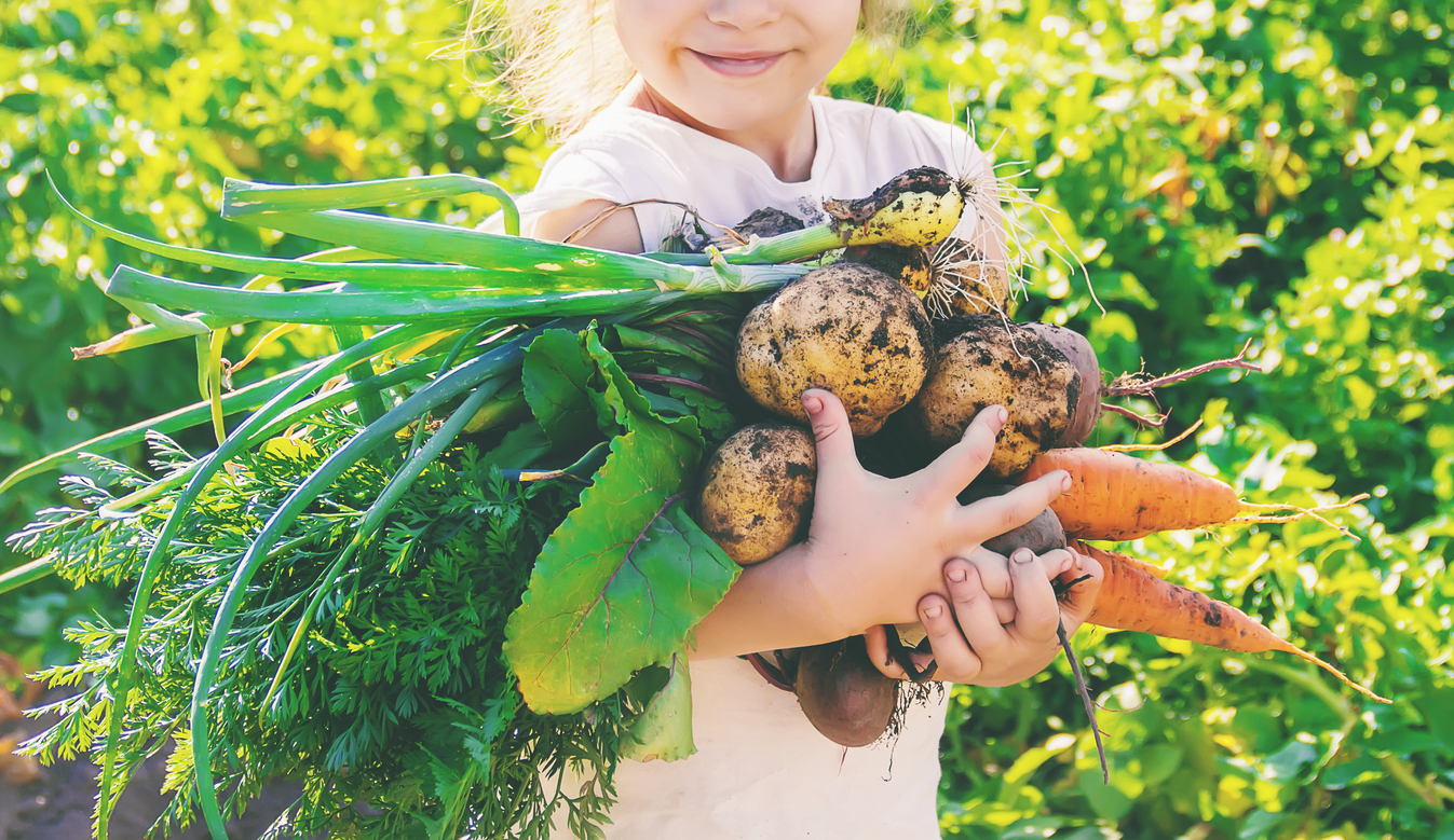 jardinage enfant jardin potager légumes fruits récoltes loisirs