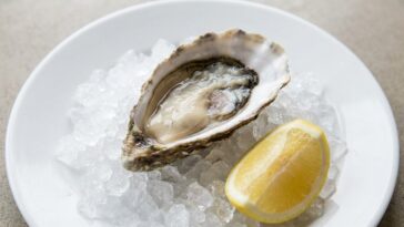 J'ai commandé le grand plateau de fruits de mer en pensant que le citron suffisait : personne ne m'avait dit ce qu'il ne t...